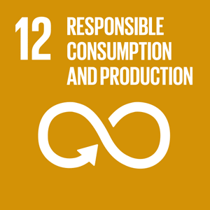 RESPONSIBLE CONSUMPTION AND PRODUCTION