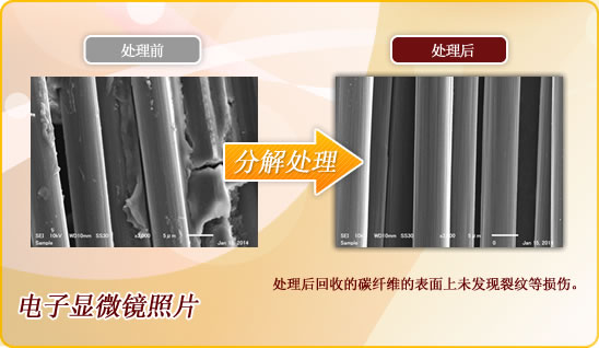 电子显微镜照片