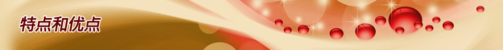 特点和优点