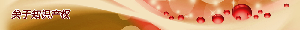 关于知识产权