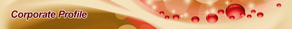 Corporate Profile
