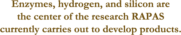 Enzymes, hydrogen, and silicon are the center of the research RAPAS currently carries out to develop products.